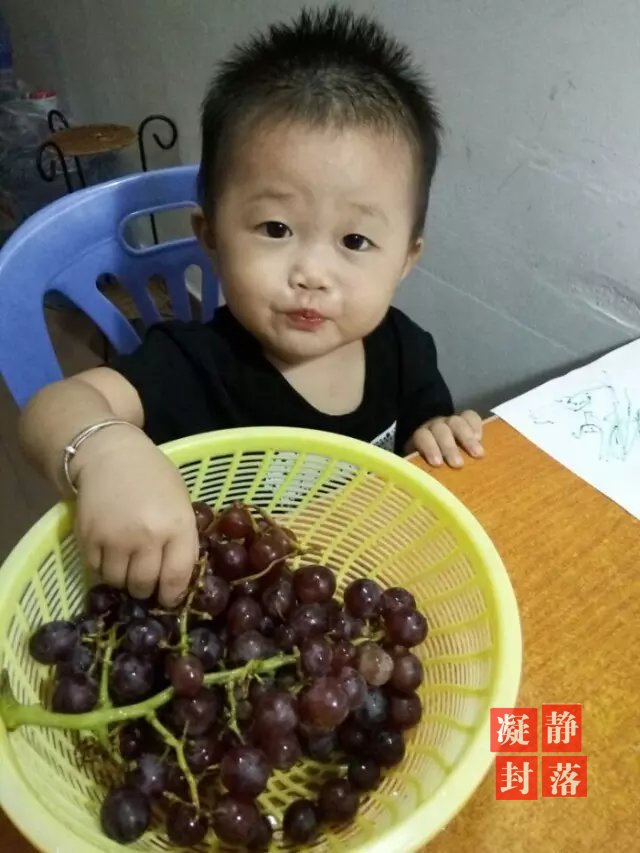豆豆吃葡萄