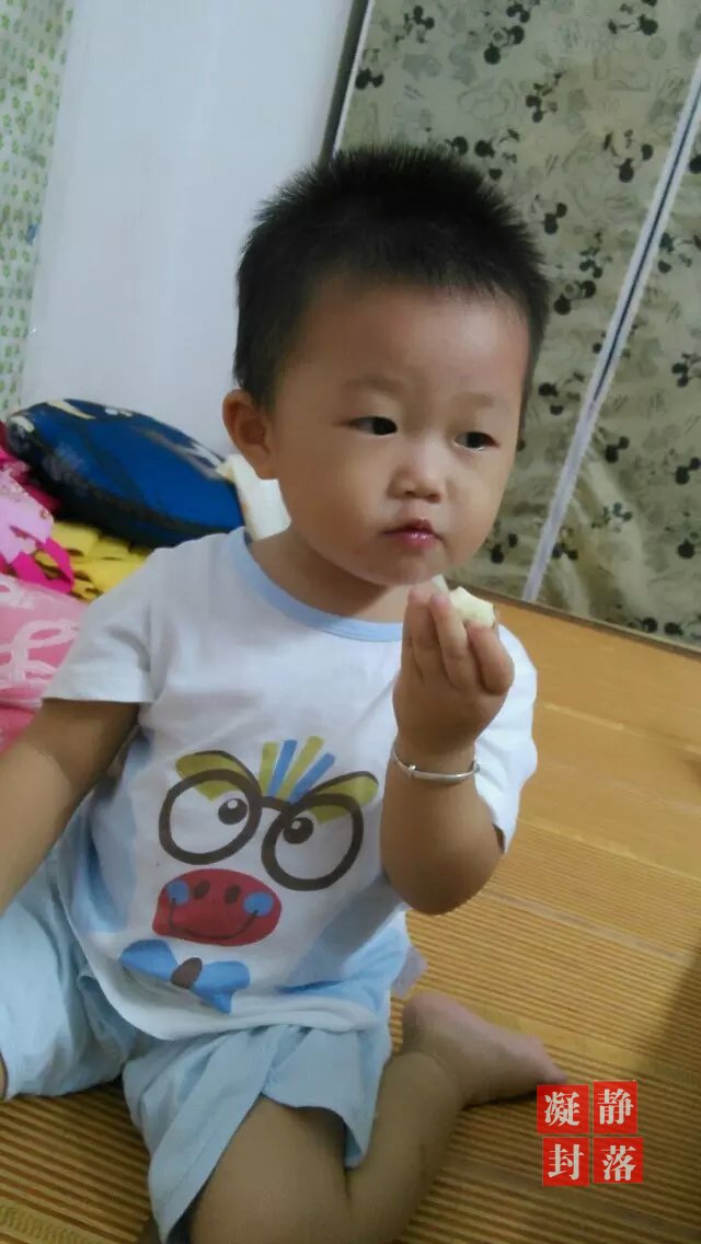 豆豆在吃枣子